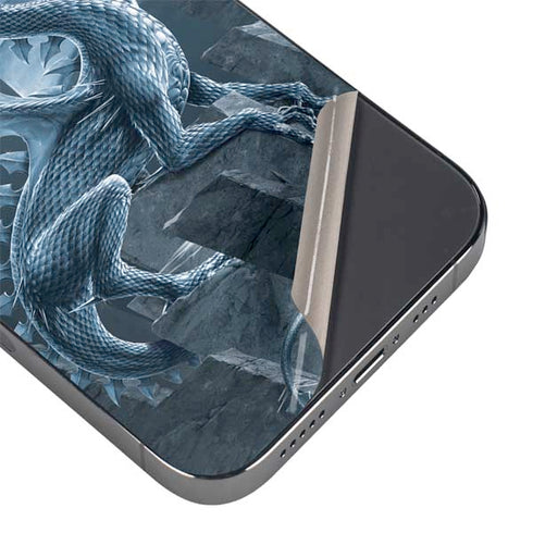 Silver Dragon by Vincent Hie iPhone 16e Skin